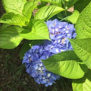 Meet your Posher, Vicki-ann